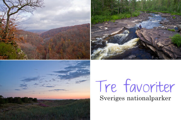 Tre favoriter: Sveriges nationalparker