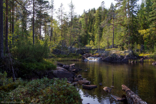 Urbergsbassäng i björntäta områden